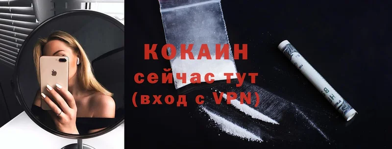 где можно купить наркотик  гидра зеркало  COCAIN FishScale  Ряжск 